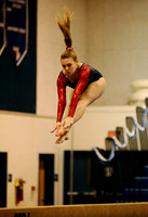 Gymnastics meet at West Potomac High School
