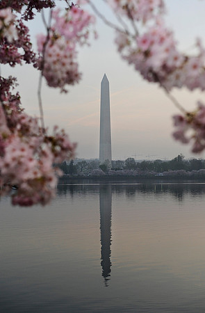 Washington Monument at sunrise, from the Tidal Basin, on March 23, 2012.